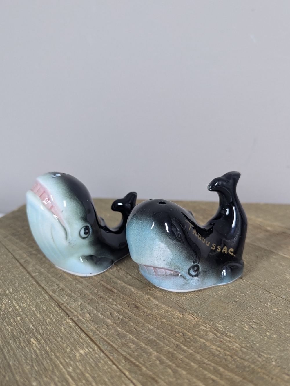Vintage Tadoussac Quebec Whale Salt & Pepper Shakers Souvenir Set
